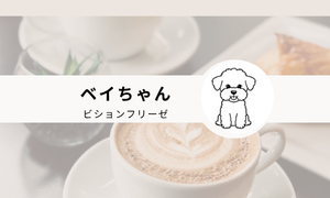 ベイ